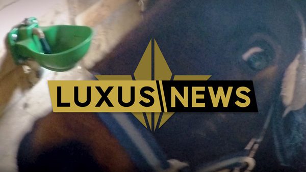 Luxusnews: Gefährliches Ungetüm entdeckt